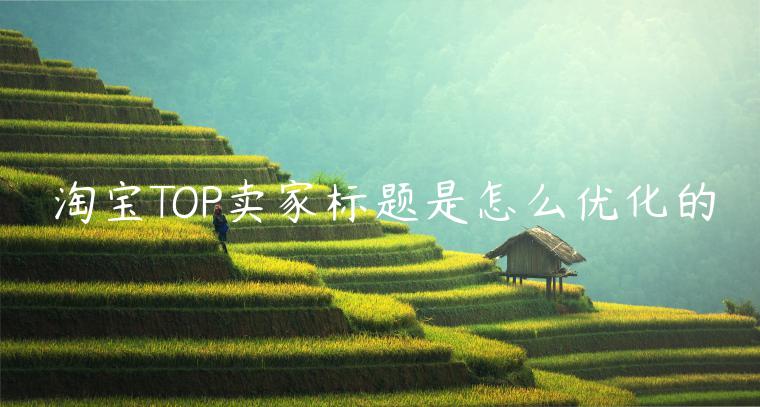 淘寶TOP賣家標(biāo)題是怎么優(yōu)化的